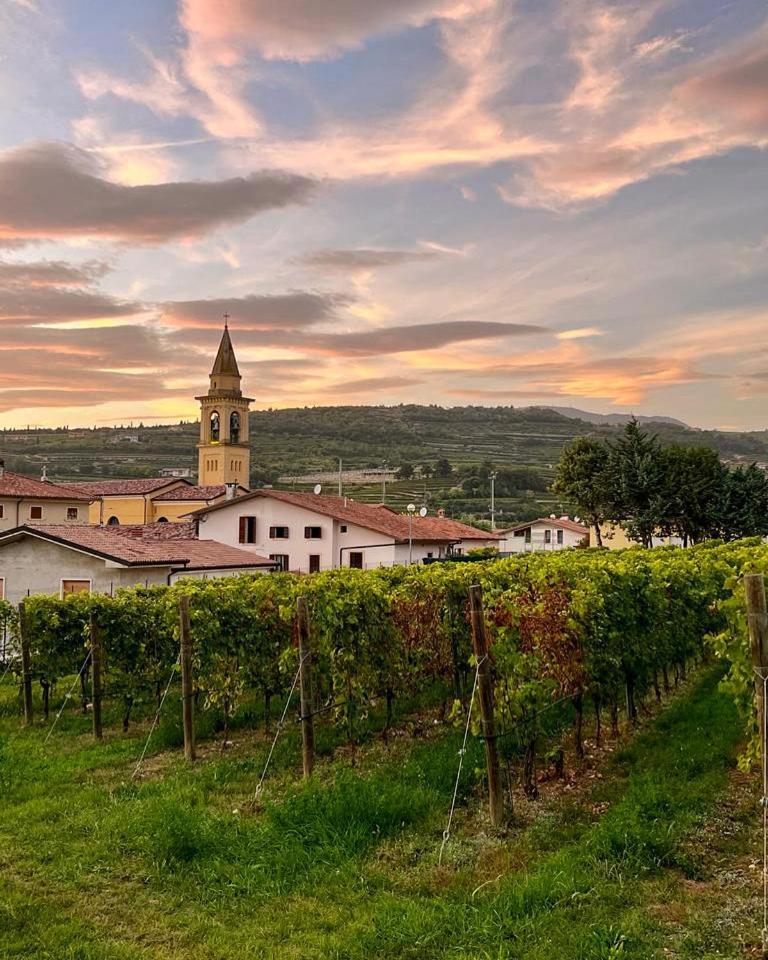Relais Valpolicella B&B Marano di Valpolicella Exterior photo